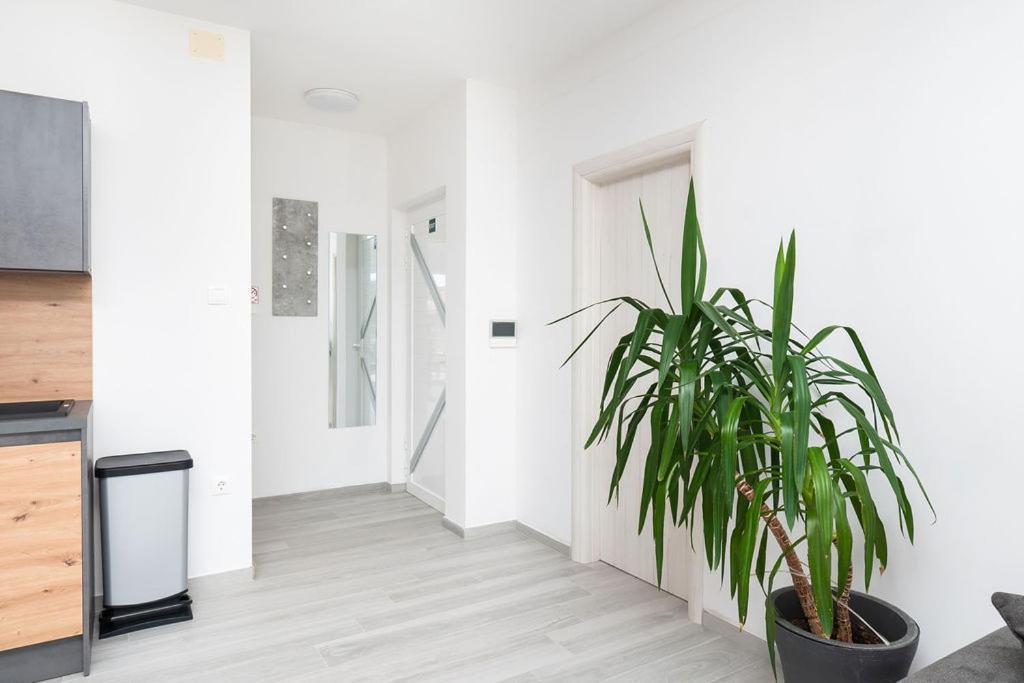 Apartments Grubisic - Sibenik - Parking Included Exterior foto